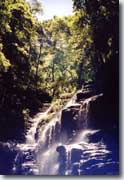 Blue Mountains