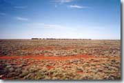 Outback Train