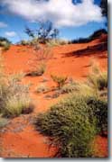 Outback