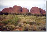 Olgas