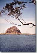 Moro Bay