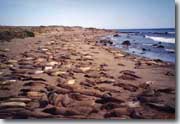 Moro Bay