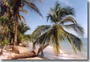 Parc National de Cahuita