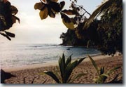 Manuel Antonio