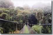 Monteverde