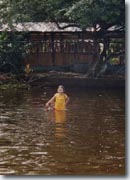 Tortuguero