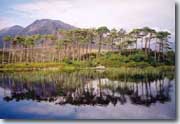 Derryclare Lough