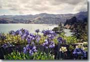 Akaroa