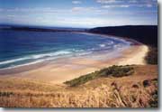 Cannibal Bay
