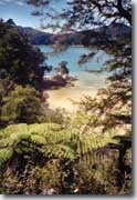 Abel Tasman