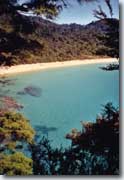 Abel Tasman