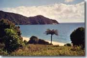 Abel Tasman