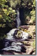 Catlins 
