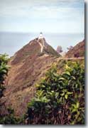 Nugget Point