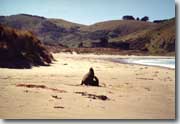 Cannibal Bay