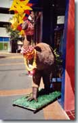 Moa