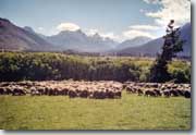 Glenorchy