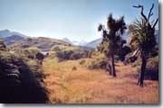 Glenorchy