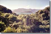 Marlborough Sound