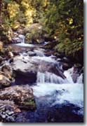 Milford Track