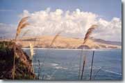 Northland
