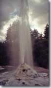 Geyser Lady Knox