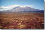 Tongariro