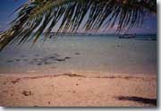Moorea