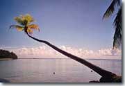 Moorea