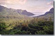 Baie d'Opunohu
